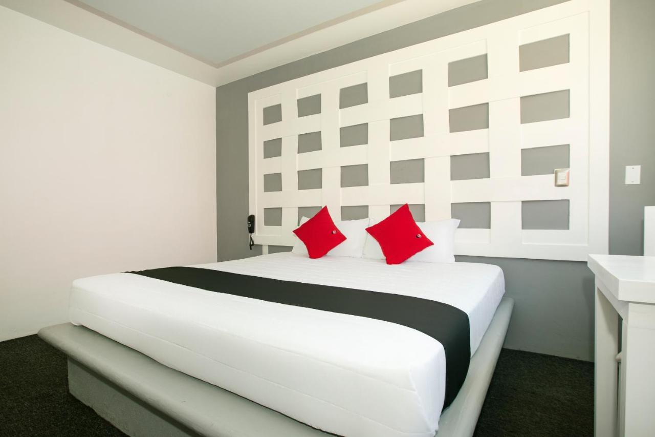 Hotel Euro Confort,Pachuca Exterior foto
